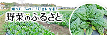 野菜のふるさと