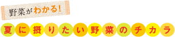 夏に摂りたい野菜のチカラ
