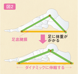トラスメカニズム