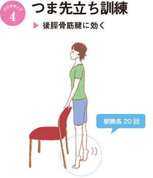 つま先立ち訓練