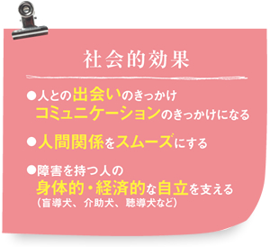 実行機能の障害