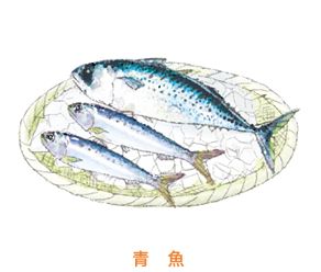 青魚