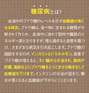 糖尿病とは？