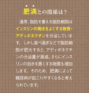 肥満との関係は？