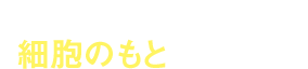 細胞のもとになる食品