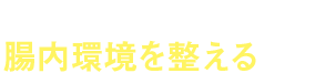腸内環境を整える食品