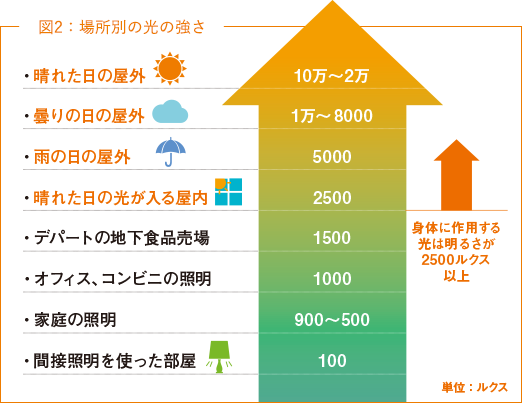 図2：場所別の光の強さ