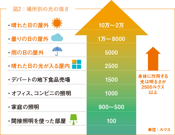図2：場所別の光の強さ