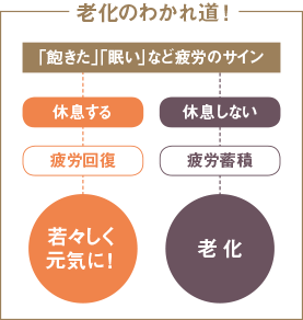 老化のわかれ道！