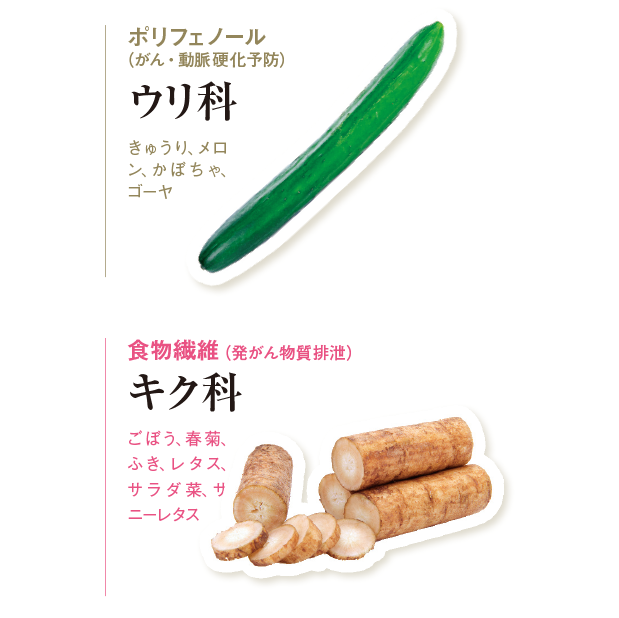 がん予防効果が期待される12の食品群