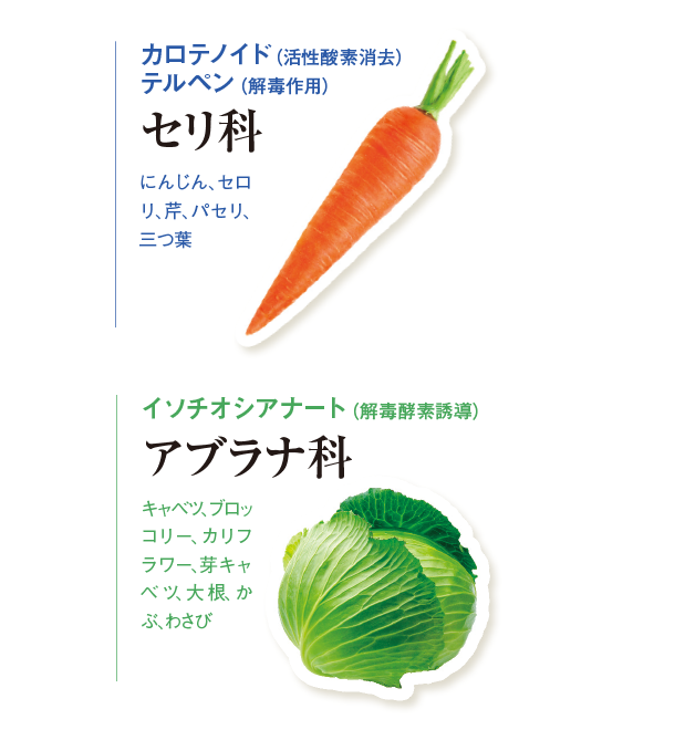 がん予防効果が期待される12の食品群