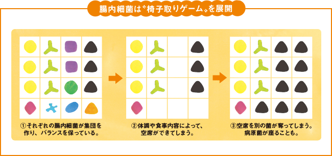 腸内細菌は“椅子取りゲームを展開”