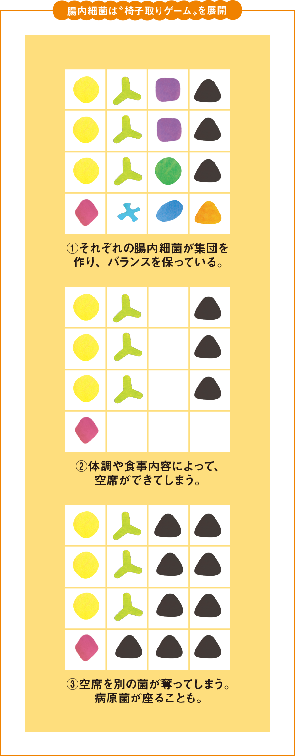 腸内細菌は“椅子取りゲームを展開”