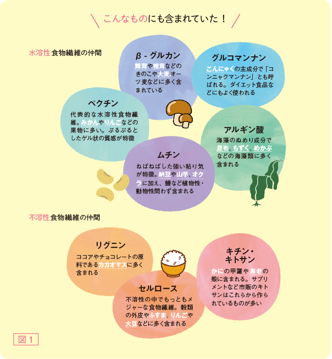 図1　こんなものにも含まれていた！　水溶性食物繊維の仲間　β-グルカン　舞茸や椎茸などのきのこや大麦、オーツ麦などに多く含まれている　グルコマンナン　こんにゃくの主成分で「コンニャクマンナン」とも呼ばれる。ダイエット食品などにもよく使われる　アルギン酸　海藻のぬめり成分で昆布、もずく、めかぶなどの海藻類に多く含まれる　ムチン　ねばねばした強い粘り気が特徴。納豆や山芋、オクラに加え、鰻などの植物性・動物性問わず含まれる　ペクチン　代表的な水溶性食物繊維。みかんやりんごなどの果物に多い。ぷるぷるとしたゲル状の質感が特徴　不溶性食物繊維の仲間　リグニン　ココアやチョコレートの原料であるカカオマスに多く含まれる　セルロース　不溶性の中でもっともメジャーな食物繊維。穀類の外皮やふすま、りんごや大豆などに多く含まれる　キチン・キトサン　かにの甲羅や海老の殻に含まれる。サプリメントなど市販のキトサンはこれらから作られているものが多い