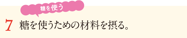 7&nbsp;糖を使うための食材を摂る。糖を使う