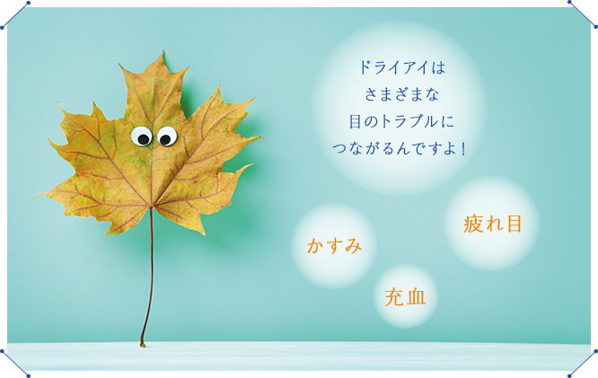ドライアイはさまざまな目のトラブルにつながるんですよ！かすみ 充血 疲れ目