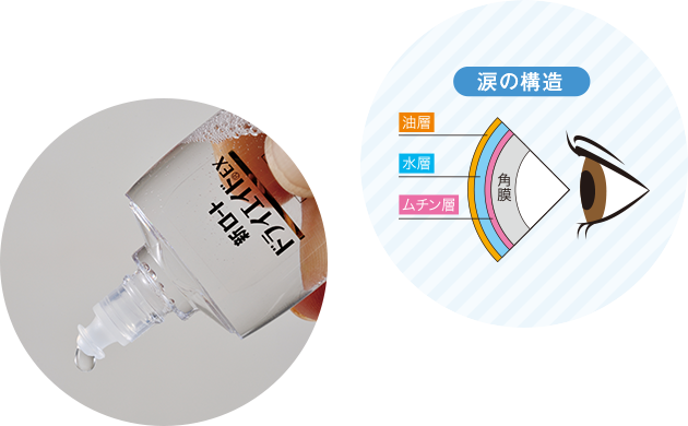 涙の構造 油層 水層 ムチン層 角膜