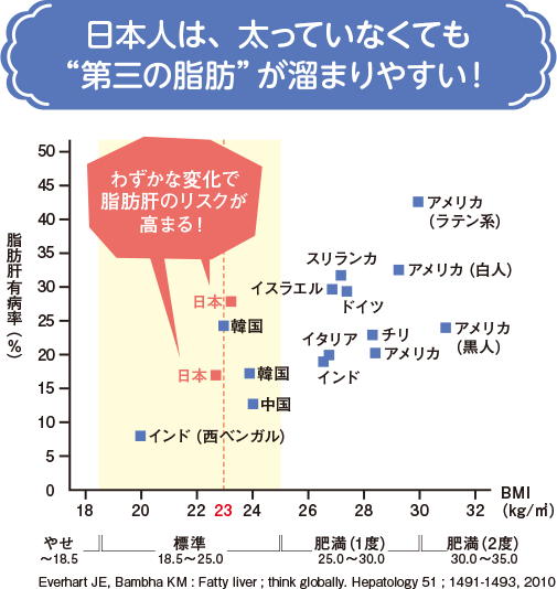 日本人は、太っていなくても"第三の脂肪"が溜まりやすい！