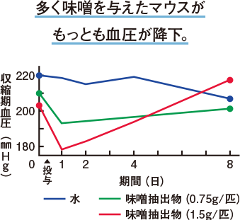 多く味噌を与えたマウスがもっとも血圧が低下