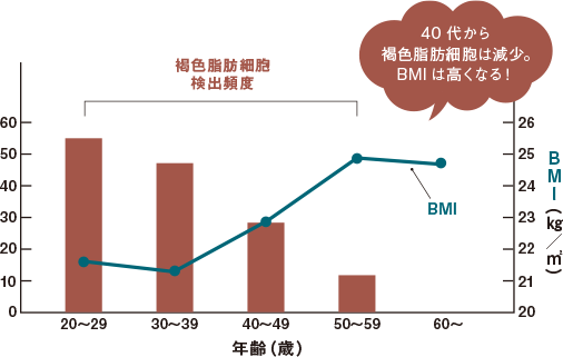 40代から褐色脂肪細胞は減少。BMIは高くなる！