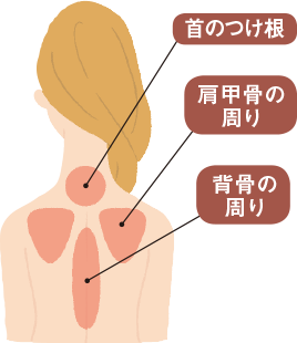 背中のつけ根 肩甲骨の周り 背骨の周り