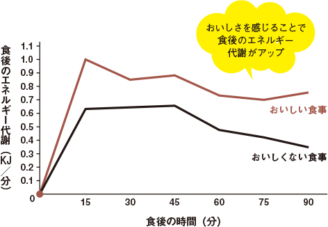 美味しさを感じることで食後のエネルギー代謝がアップ