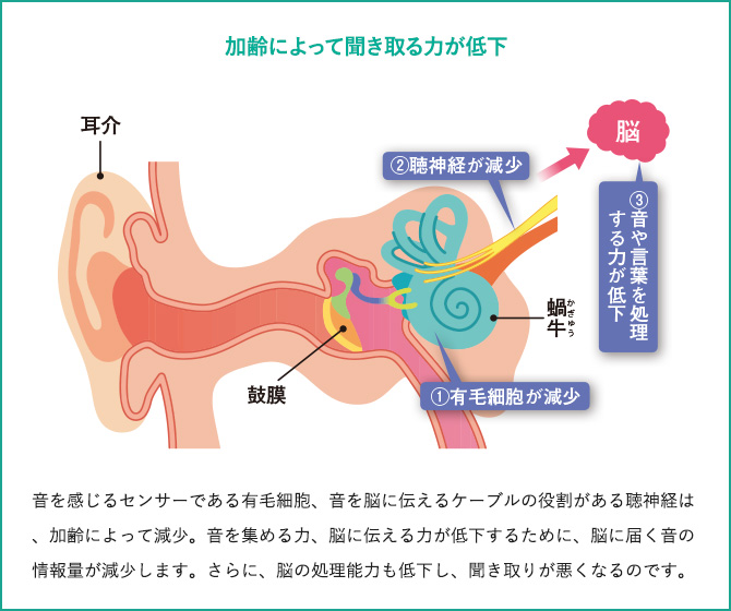 加齢によって聞き取る力が低下
