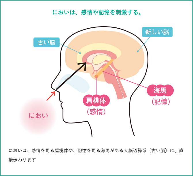 においは、感情や記憶を刺激する。