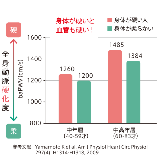 身体が硬いと血管も硬い！