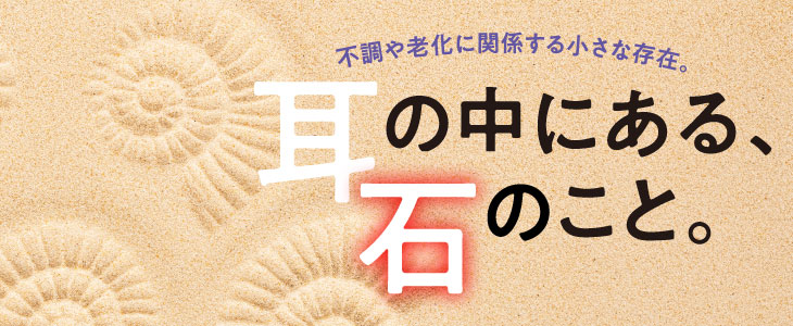 耳の中にある、石のこと。