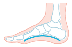 内側の縦アーチ
