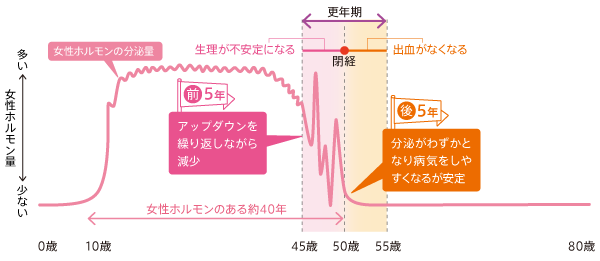 更年期の10年間