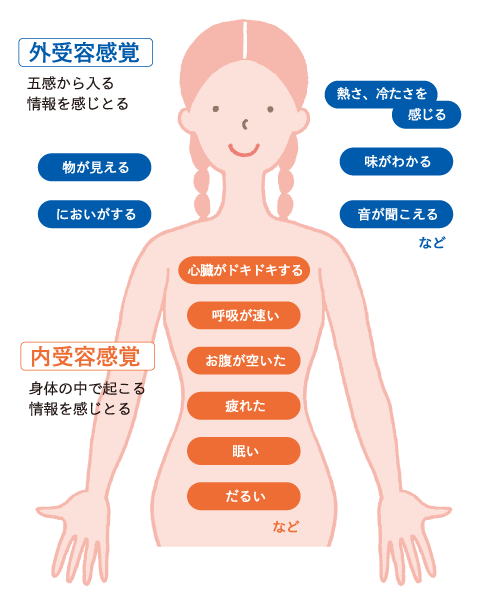 外受容感覚・内受容感覚