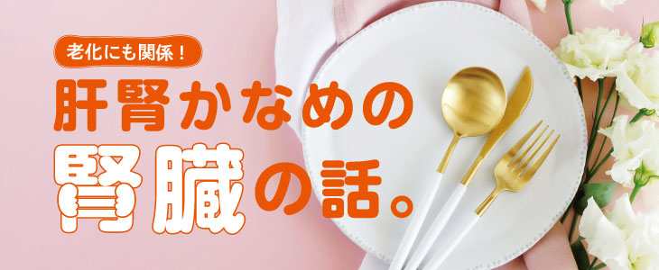 老化にも関係！肝腎かなめの腎臓の話。