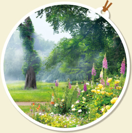 色彩の変化を連想させる花