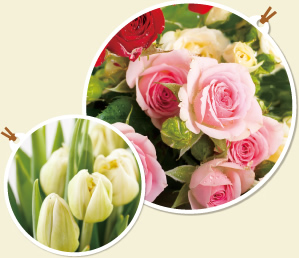 組み合わせを連想させる花