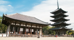 東金堂と五重塔