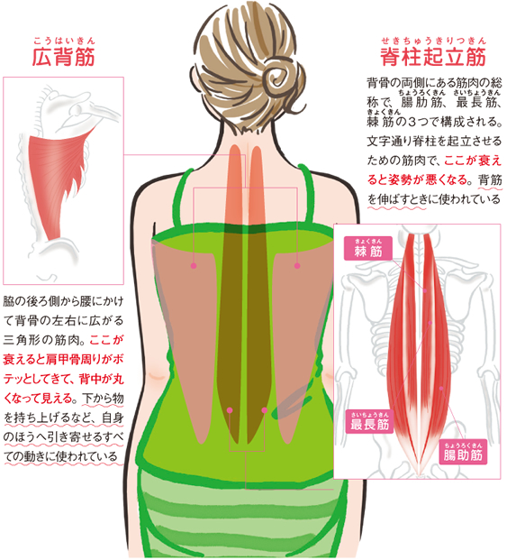 背中周りスッキリを叶える！