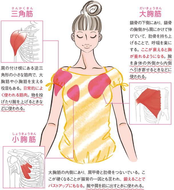 若々しいデコルテ周りを叶える。