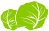 キャベツ