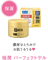 極潤 パーフェクトゲル