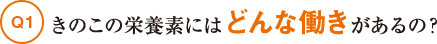 きのこの栄養素にはどんな働きがあるの？