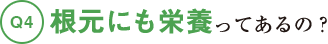 根元にも栄養ってあるの？