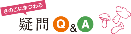 きのこにまつわる疑問Q&A