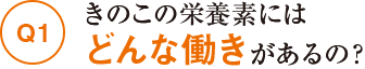 きのこの栄養素にはどんな働きがあるの？