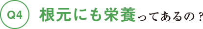 根元にも栄養ってあるの？