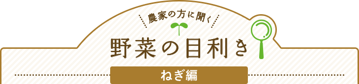 農家の方に聞く 野菜の目利き ねぎ編