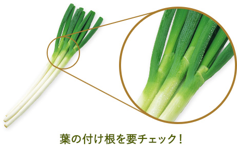 葉の付け根を要チェック！