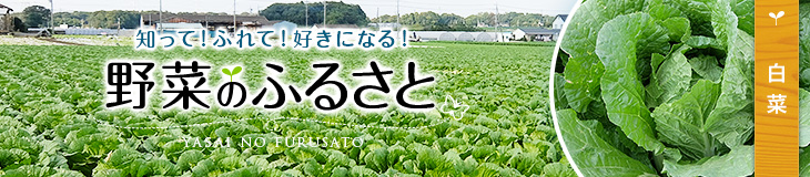 知って！ふれて！好きになる！野菜のふるさと