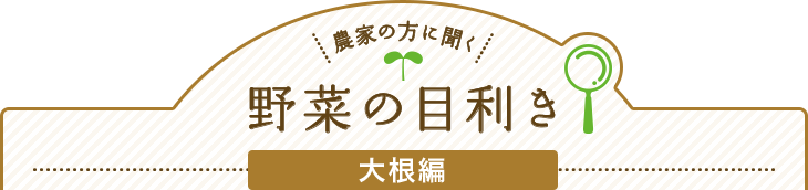 農家の方に聞く 野菜の目利き 大根編